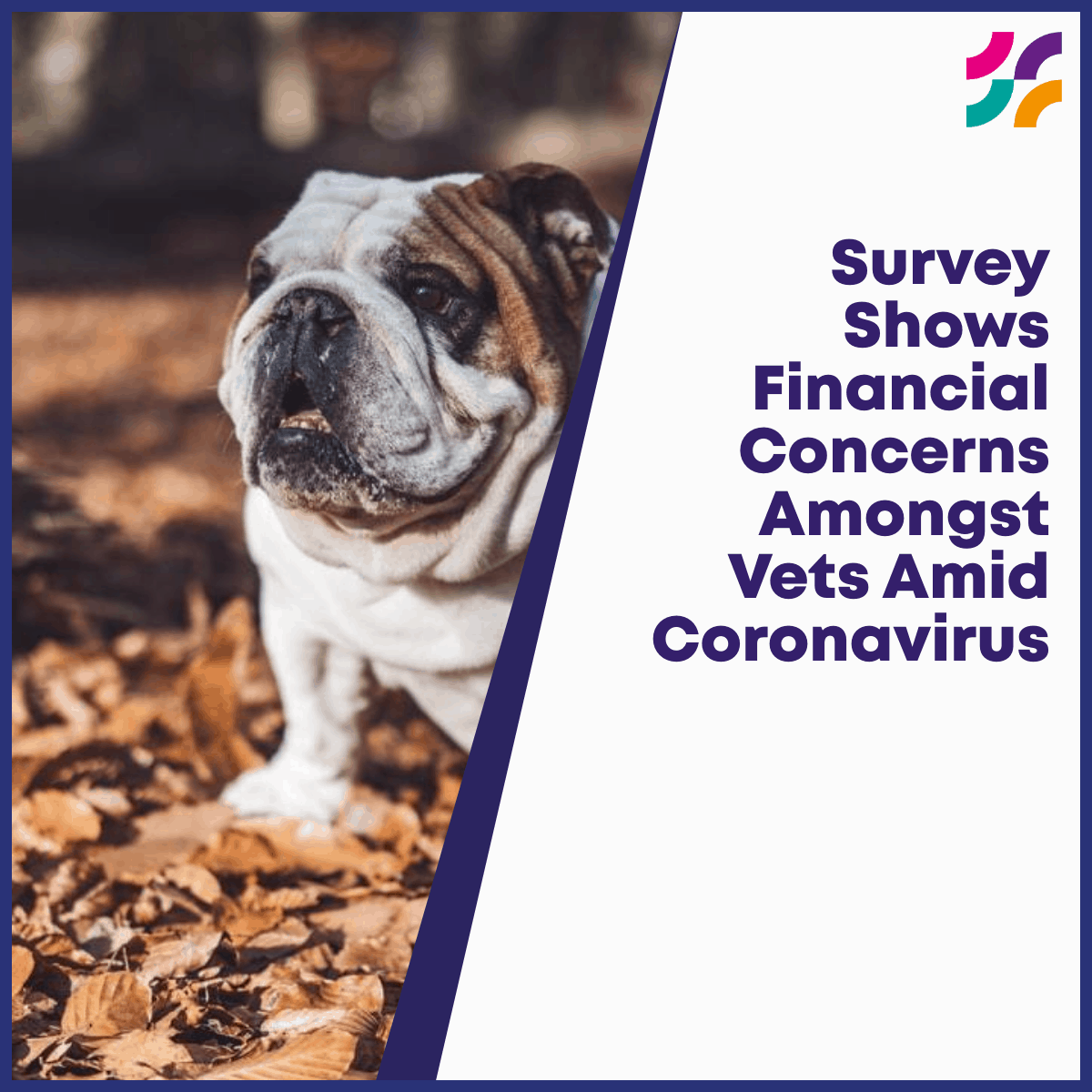 Survey Shows Financial Concerns Amongst Vets Amid Coronavirus