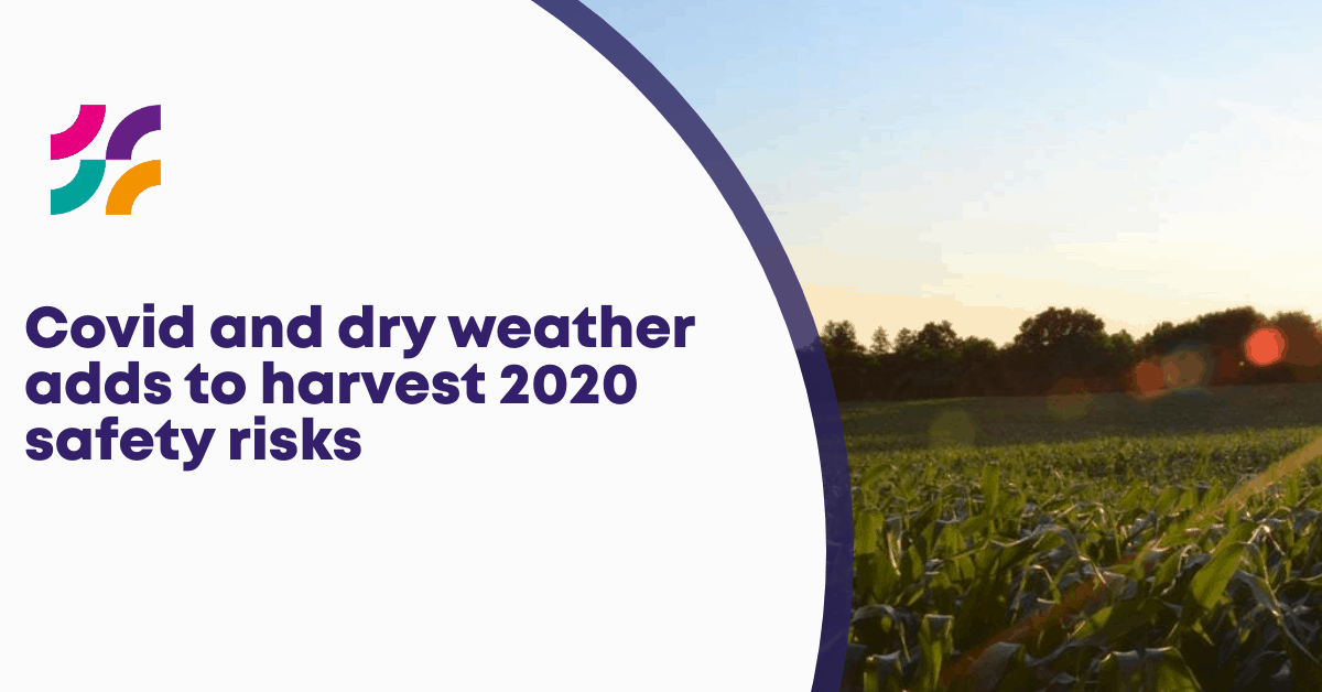 Covid and dry weather adds to harvest 2020 safety risks